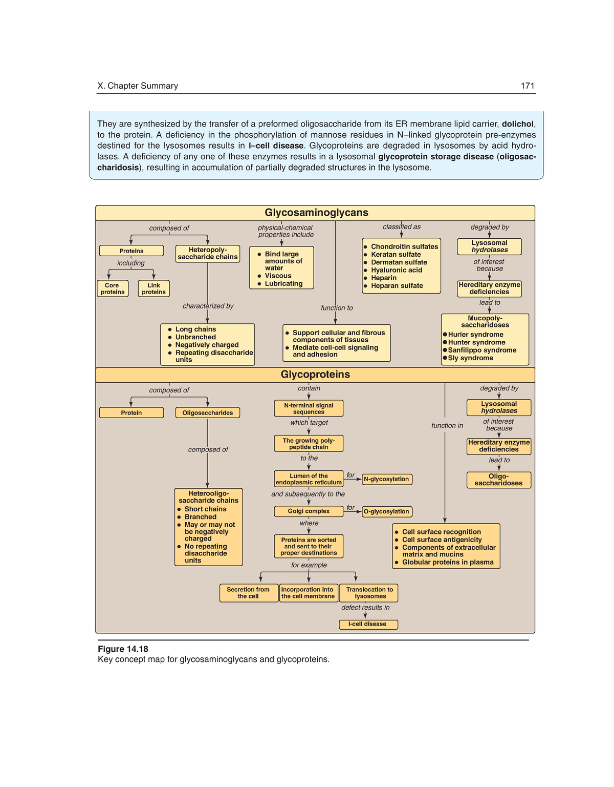 Biochemistry-61 - N/A - Figure 14. Key Concept Map For ...