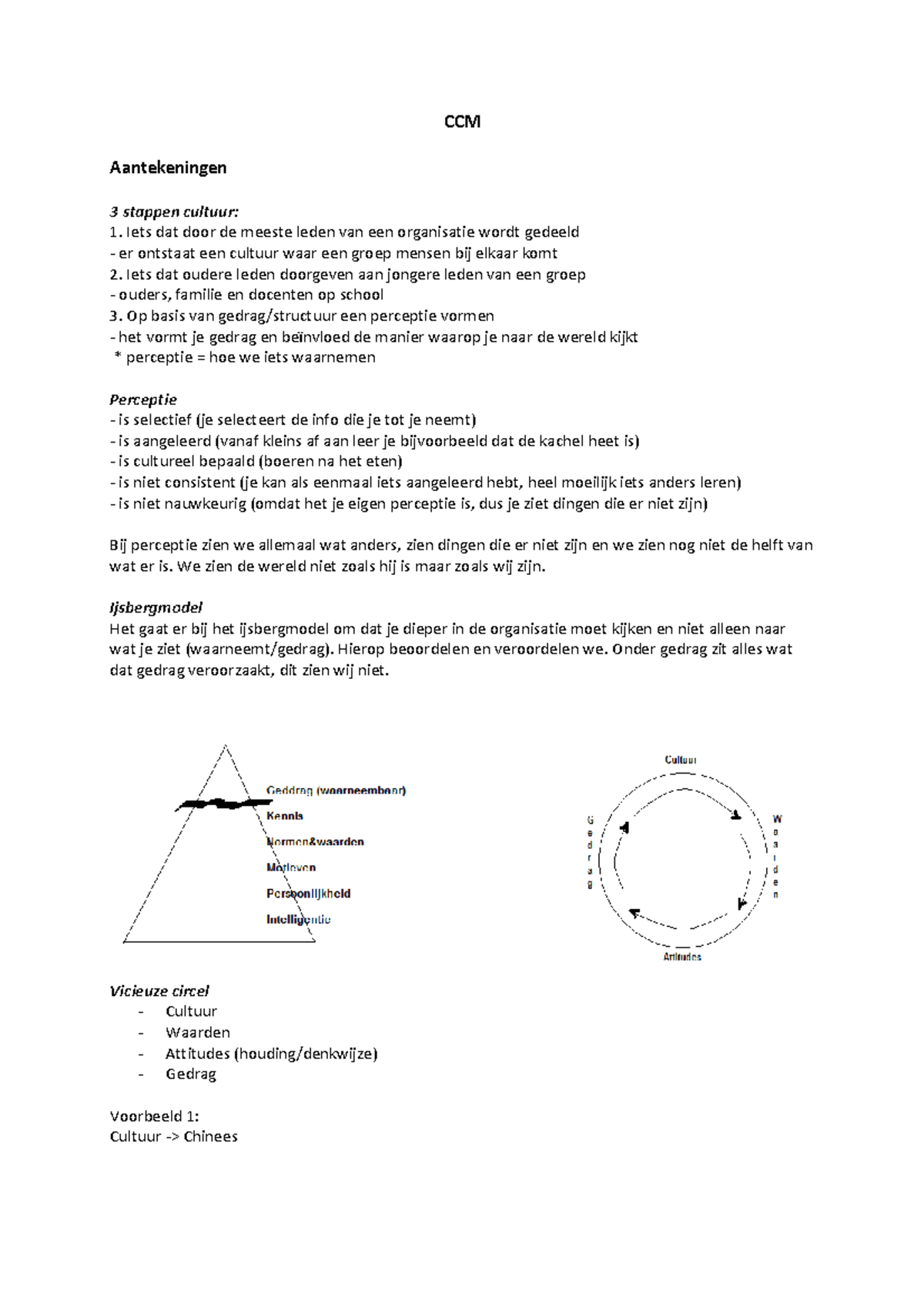 aantekeningen-en-samenvatting-cursus-cross-cultural-management-ccm