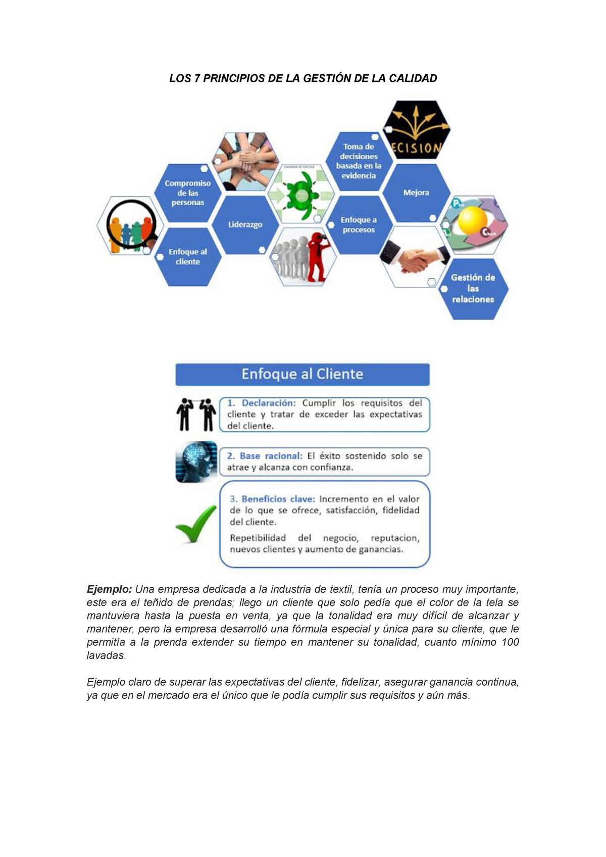 LOS 7 Principios DE LA Gestión DE LA Calidad - LOS 7 PRINCIPIOS DE LA ...