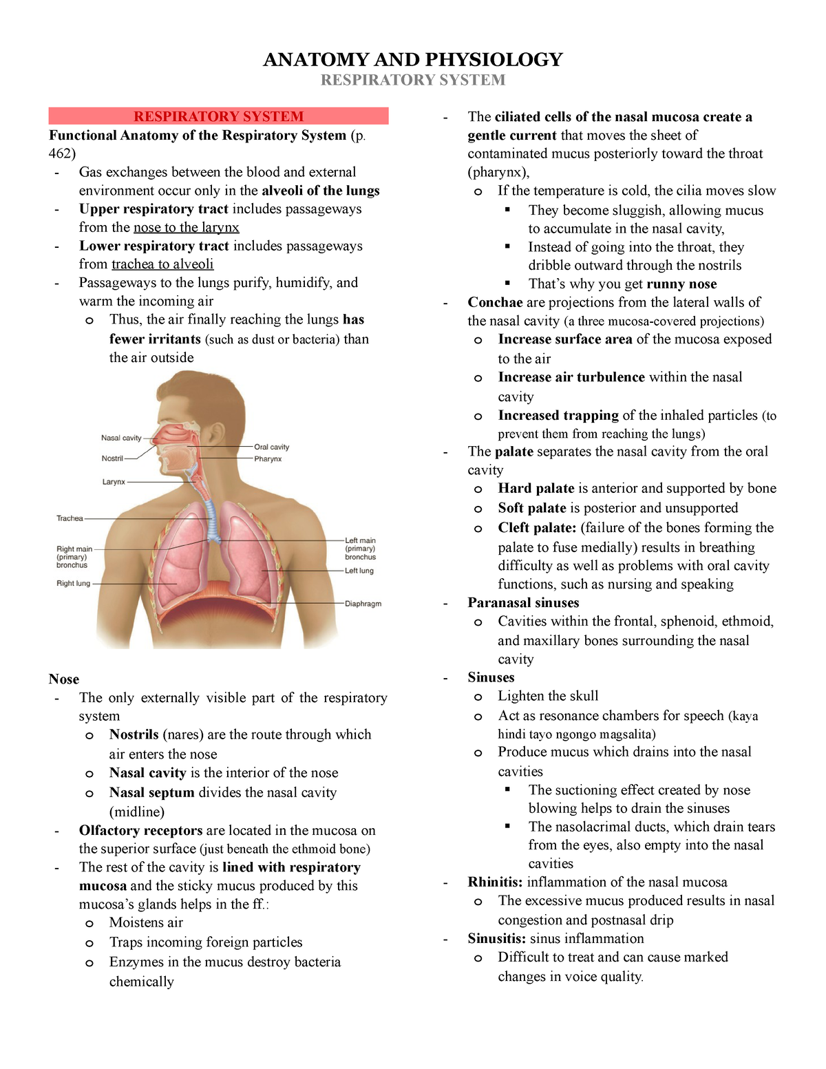 Ana Phy-Respiratory-System - RESPIRATORY SYSTEM RESPIRATORY SYSTEM ...