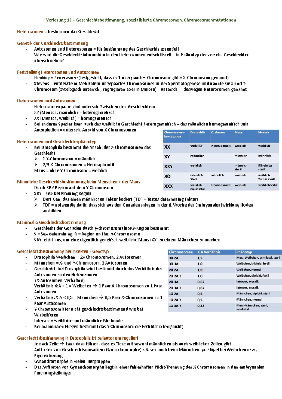 Vorlesung 13 - Vorlesung 13 – Geschlechtsbestimmung, Spezialisierte ...