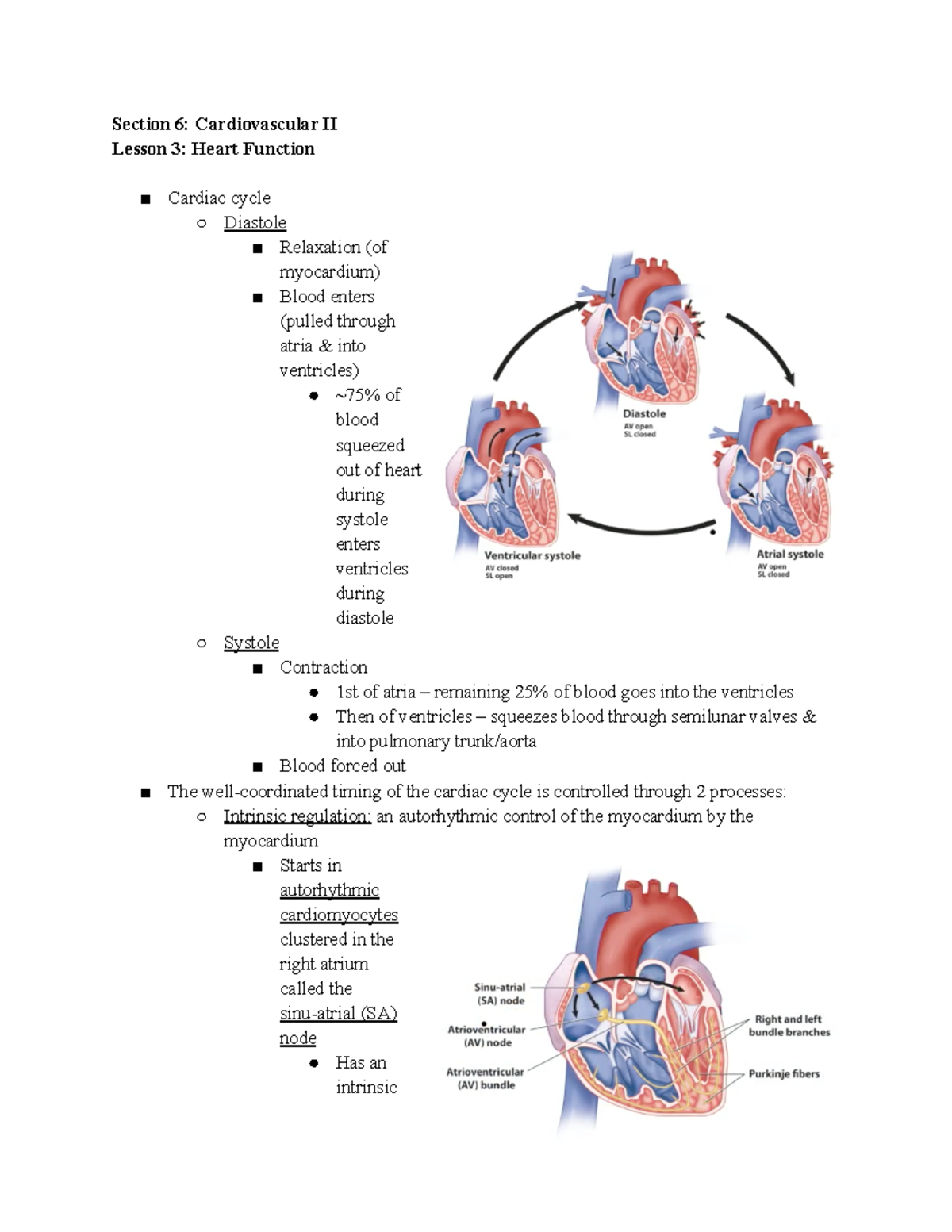35- Heart Function - Section 6: Cardiovascular II Lesson 3: Heart ...