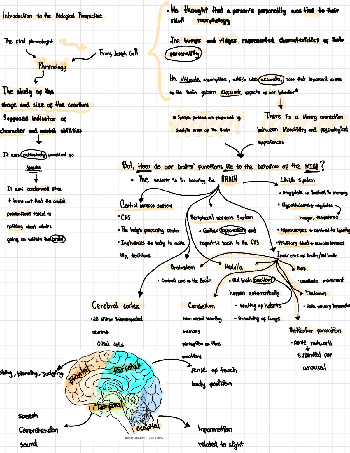 introduction to biological perspective - Introduction to the Biological ...