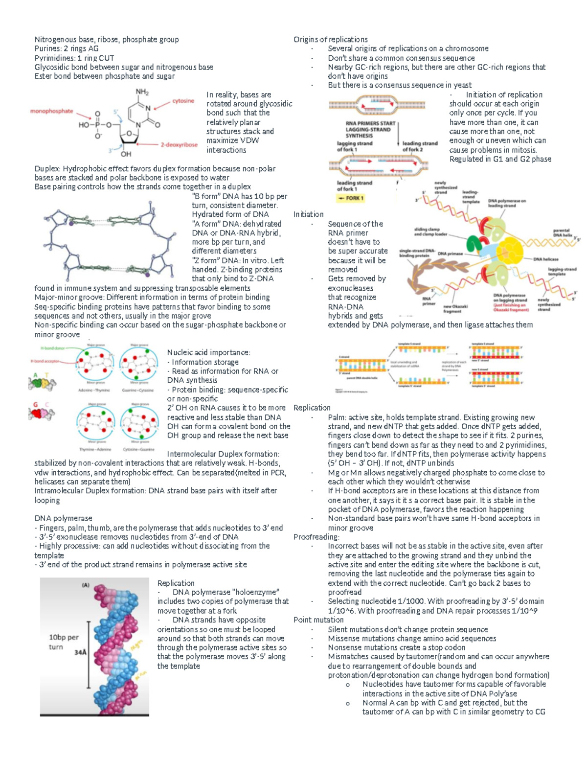 Mol Bio Exam3 Cheat Sheet - Nitrogenous base, ribose, phosphate group
