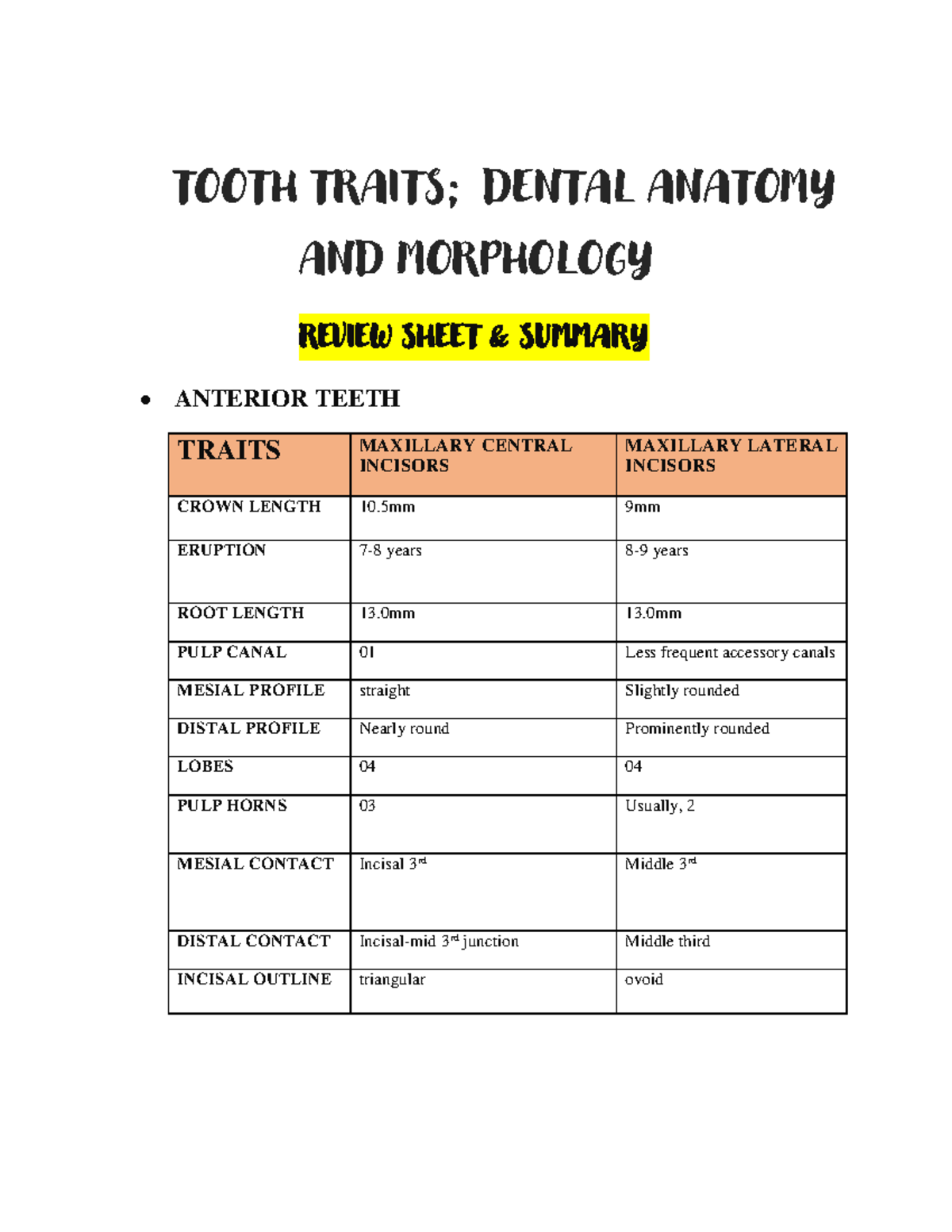 Dental anatomy basics, dentistry notes, TOOTH MORPHOLOGY TOOTH TRAITS