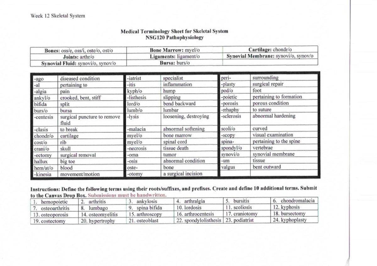 medical-terminology-for-skeletal-system-nsg-120-studocu