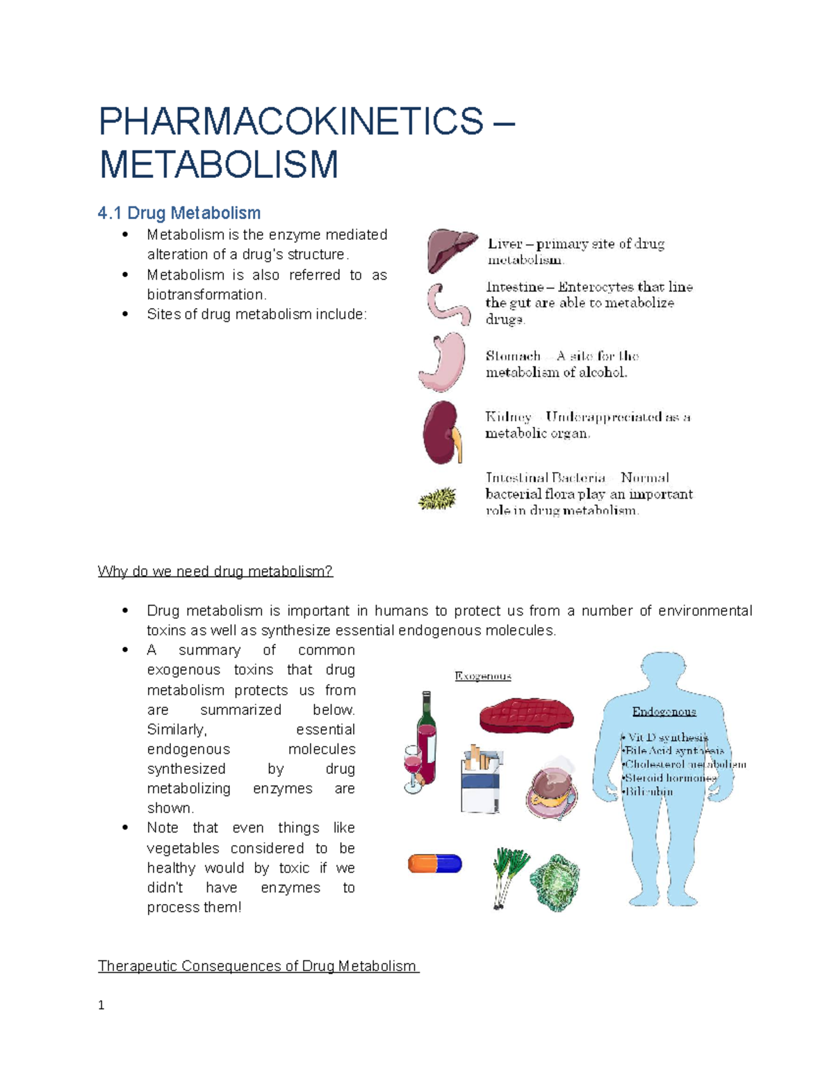 Module 4 Notes 2020 - PHARMACOKINETICS – METABOLISM 4 Drug Metabolism ...