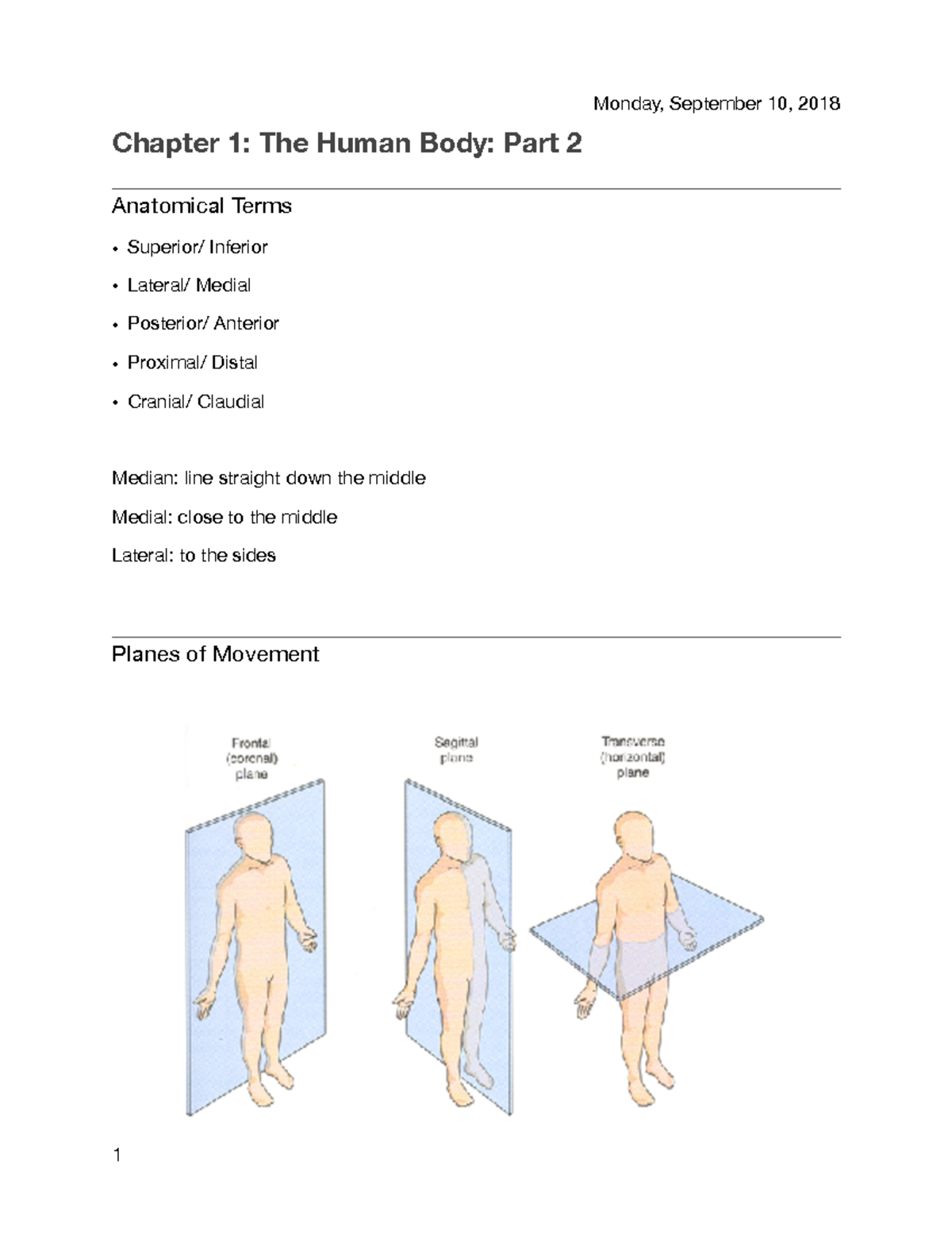 Chapter 1: The Human Body: Part 2 - Chapter 1: The Human Body: Part 2 ...