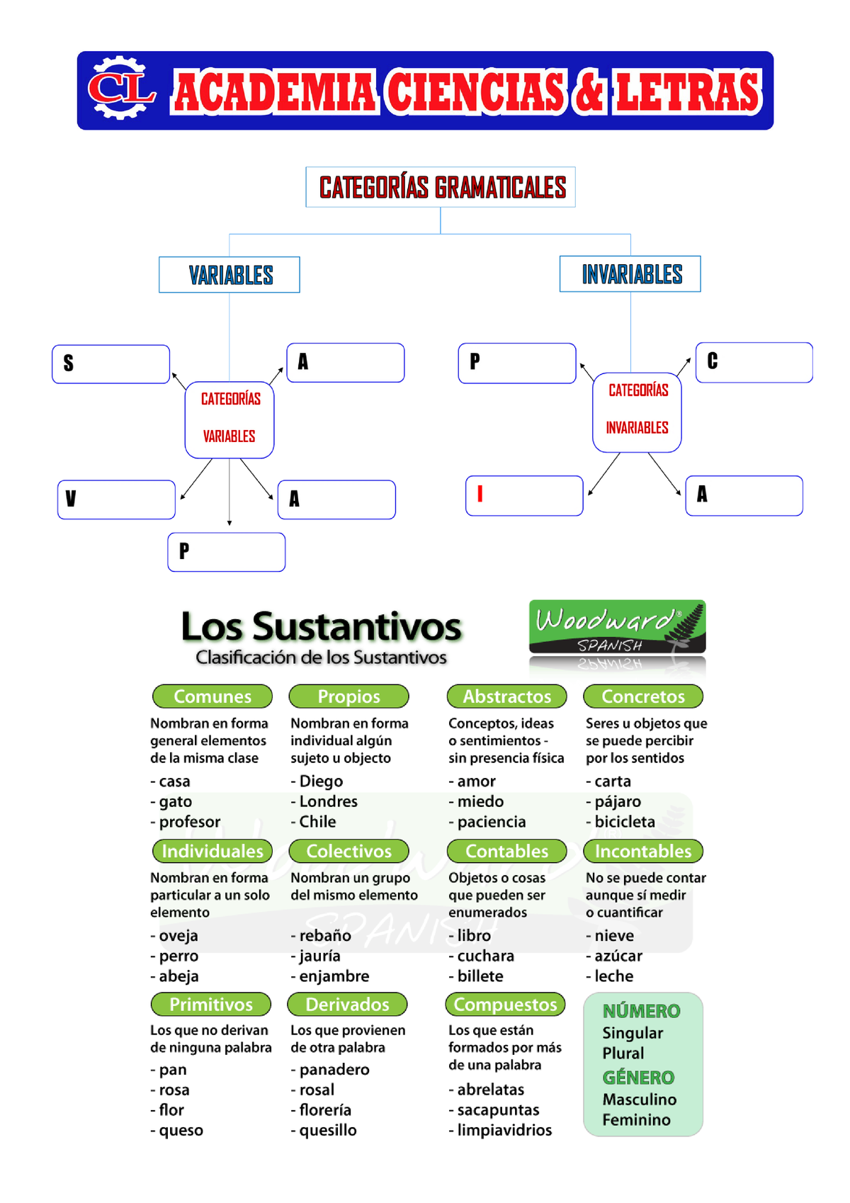 Categorías Gramaticales Variables Resumen Y Evaluación - ARTÍCULO ...