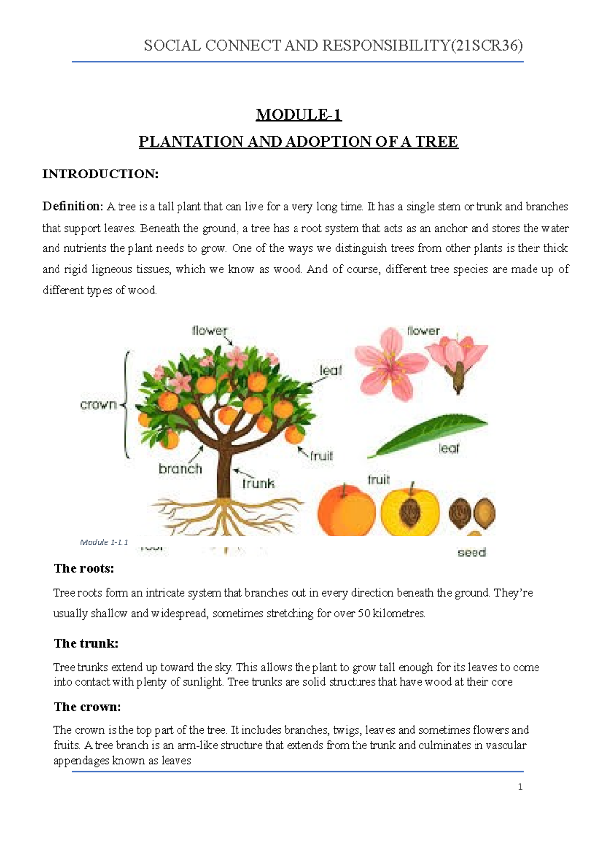 Plantation and adoption of a tree INTRODUCTION Definition A tree is a tall plant that can