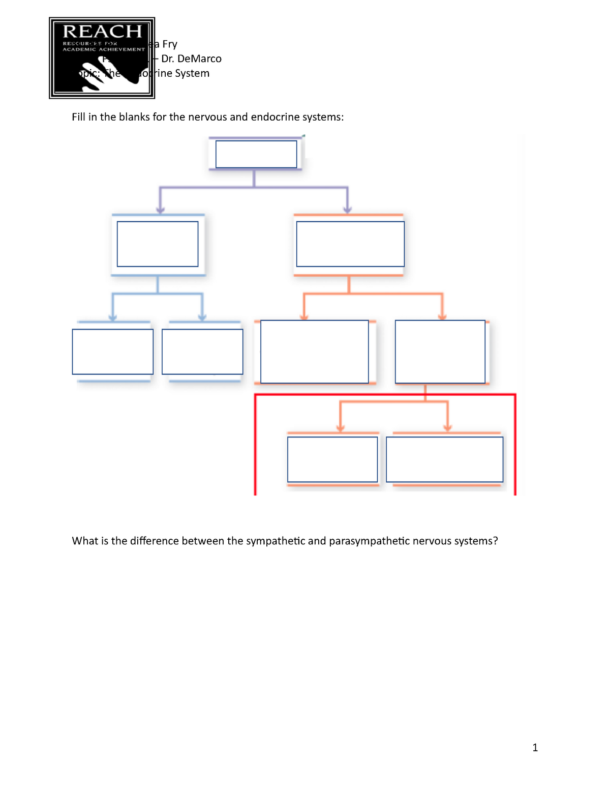 The Endocrine System Practice Worksheet Topic The Endocrine System Fill In The Blanks For The 0581