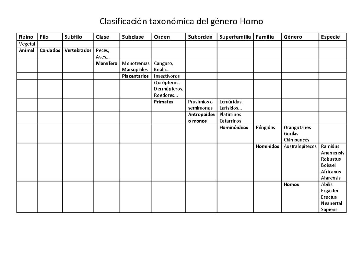 Clasificaci N Taxon Mica Del G Nero Homo Clasificaci N Taxon Mica Del G Nero Homo Reino Filo