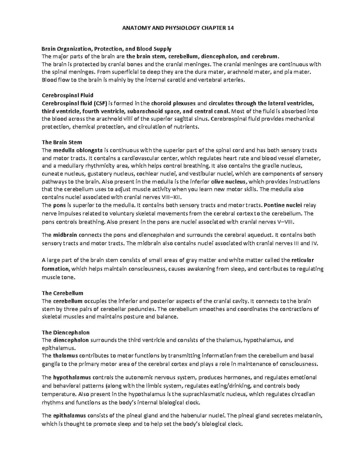 BIOL 2401-Chapter 14 - The Brain and Cranial Nerves - ANATOMY AND ...