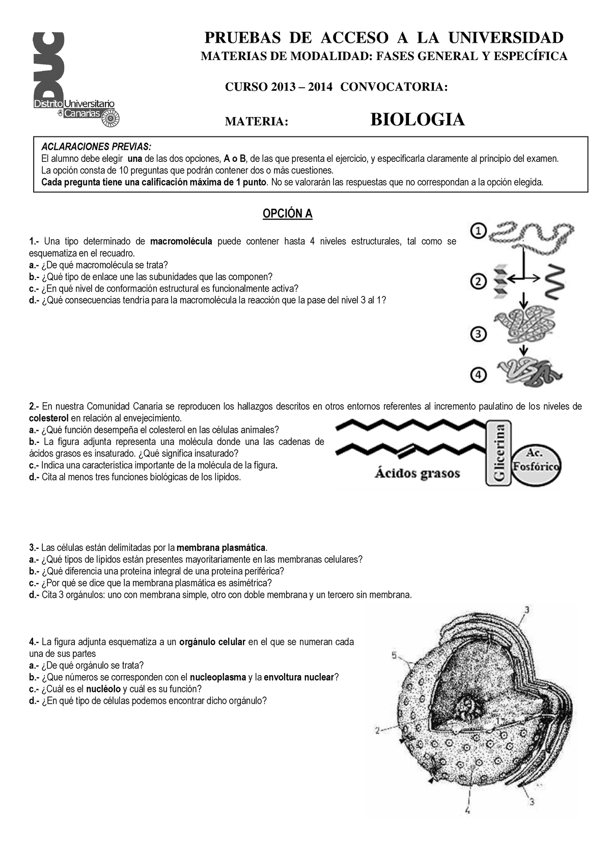 Examen EBAU Biología JULIO 2014 Sin Respuesta - EBAU Biologia - ULL ...