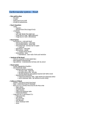 Work sheet 2. Blood key - Professor Christiansen Cardiovascular system ...