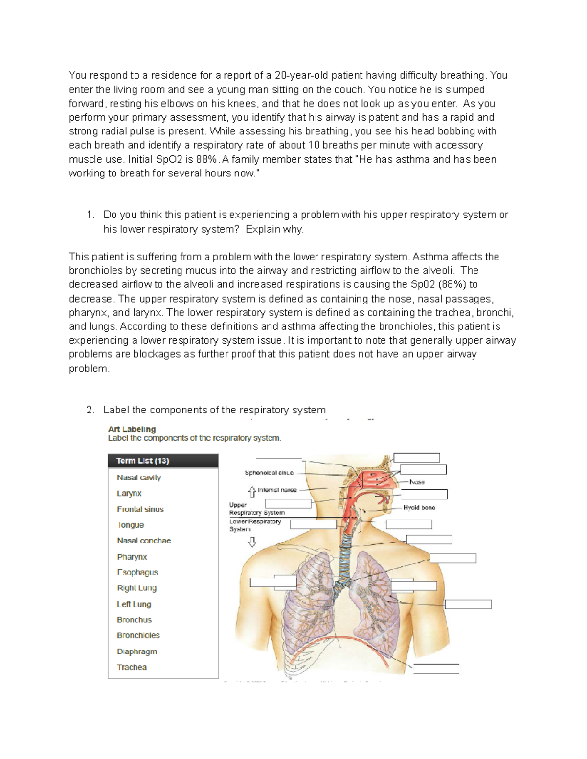 intro to a&p case study