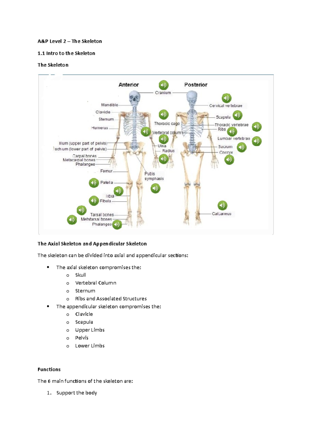 Intro to the Skeleton - Joints A join or articulation is a point of ...