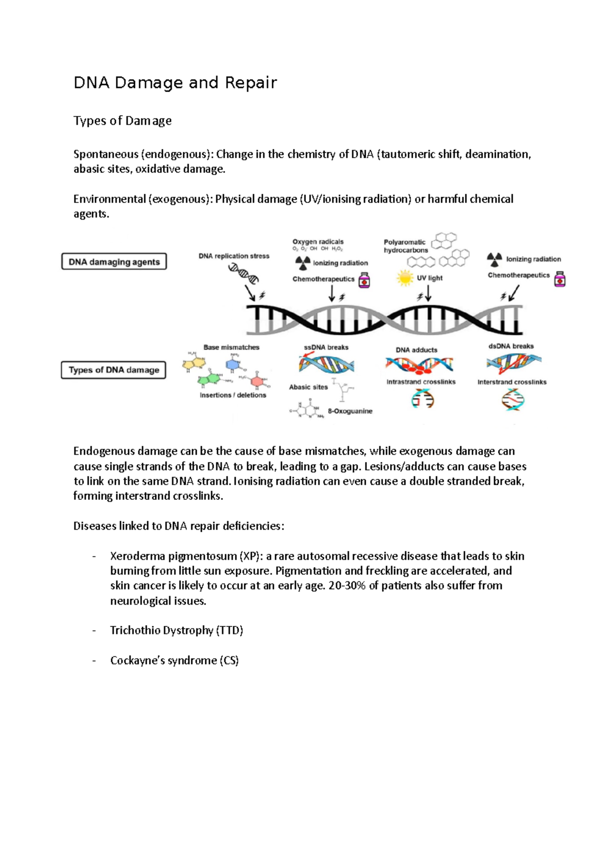 DNA Damage and Repair - DNA Damage and Repair Types of Damage ...