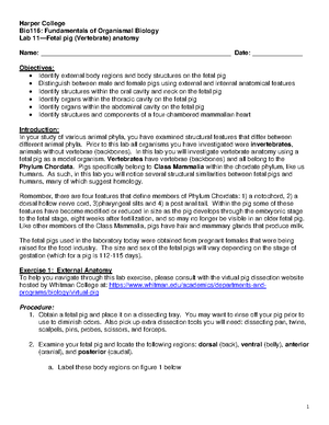 Lab 9 Animal Diversity 1 on campus 2022 - Harper College Bio116 ...