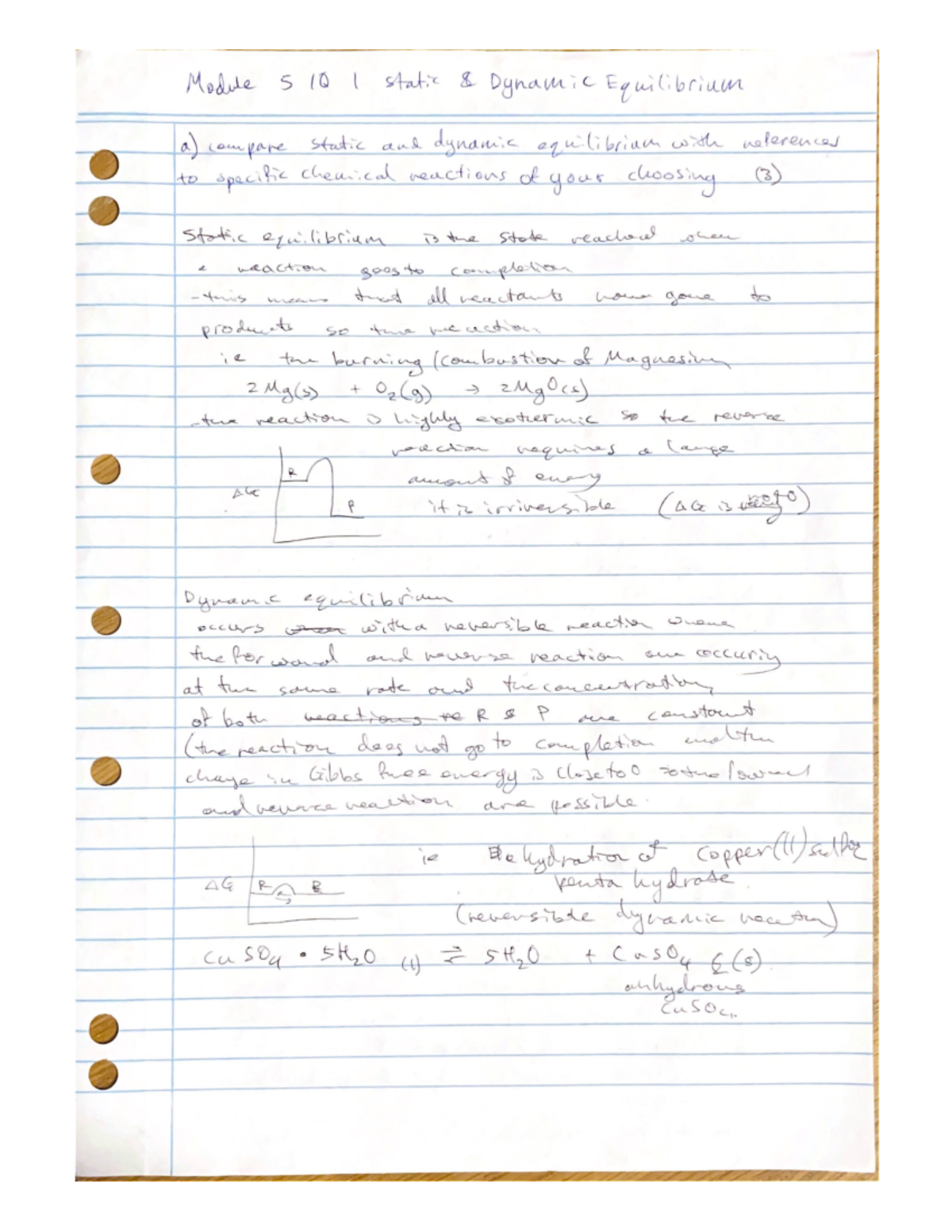 Chem hw - oigrhpi - Module 5 10 I static Dynamic Equilibrium a) compare ...