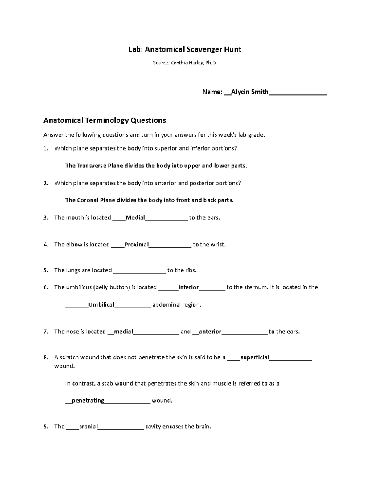 Lab A&P Scavenger Hunt N/A Lab Anatomical Scavenger Hunt Source