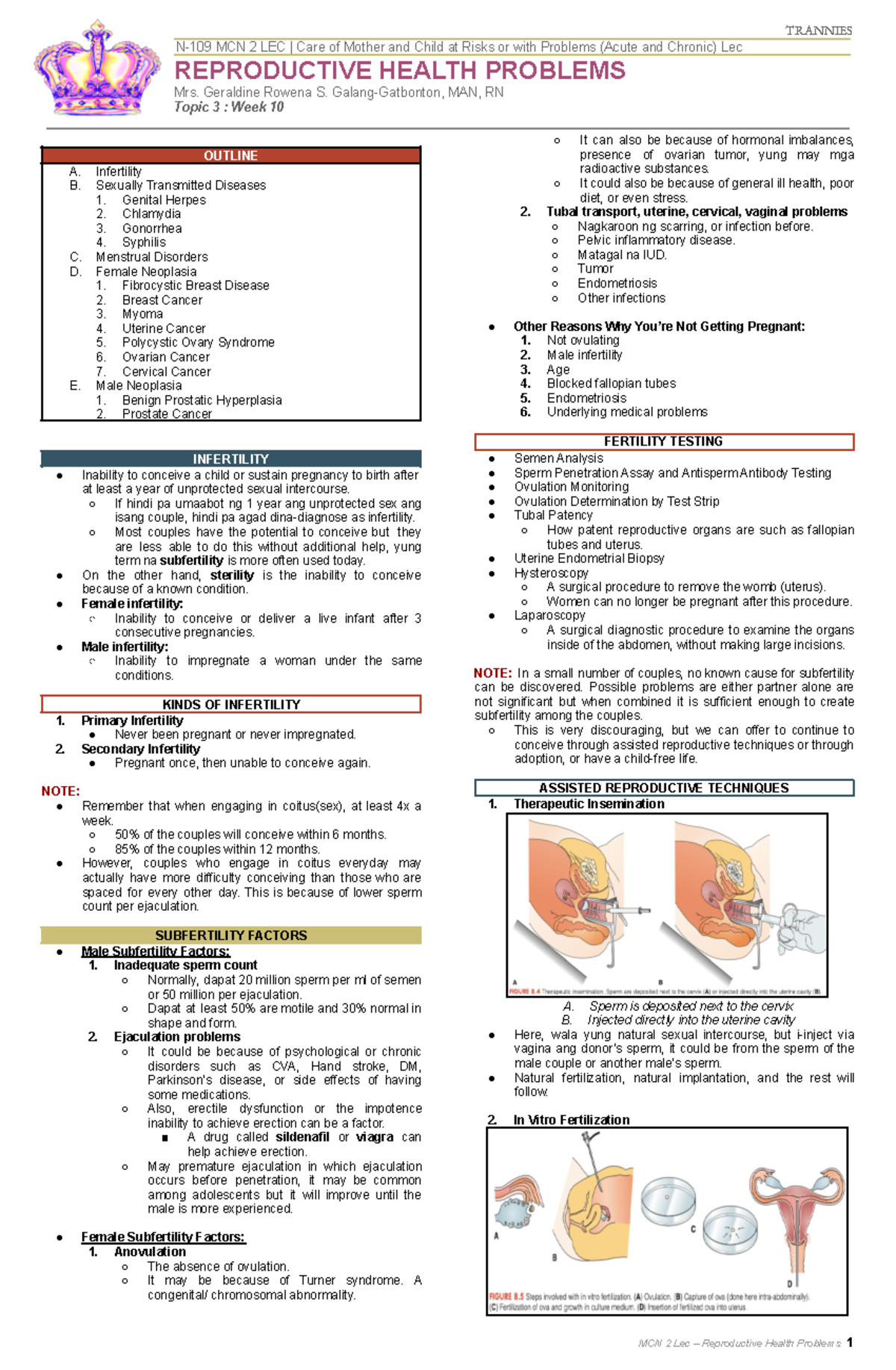 Mcn 2 Lec Topic 3 Trannies - Trannies N-109 Mcn 2 Lec 