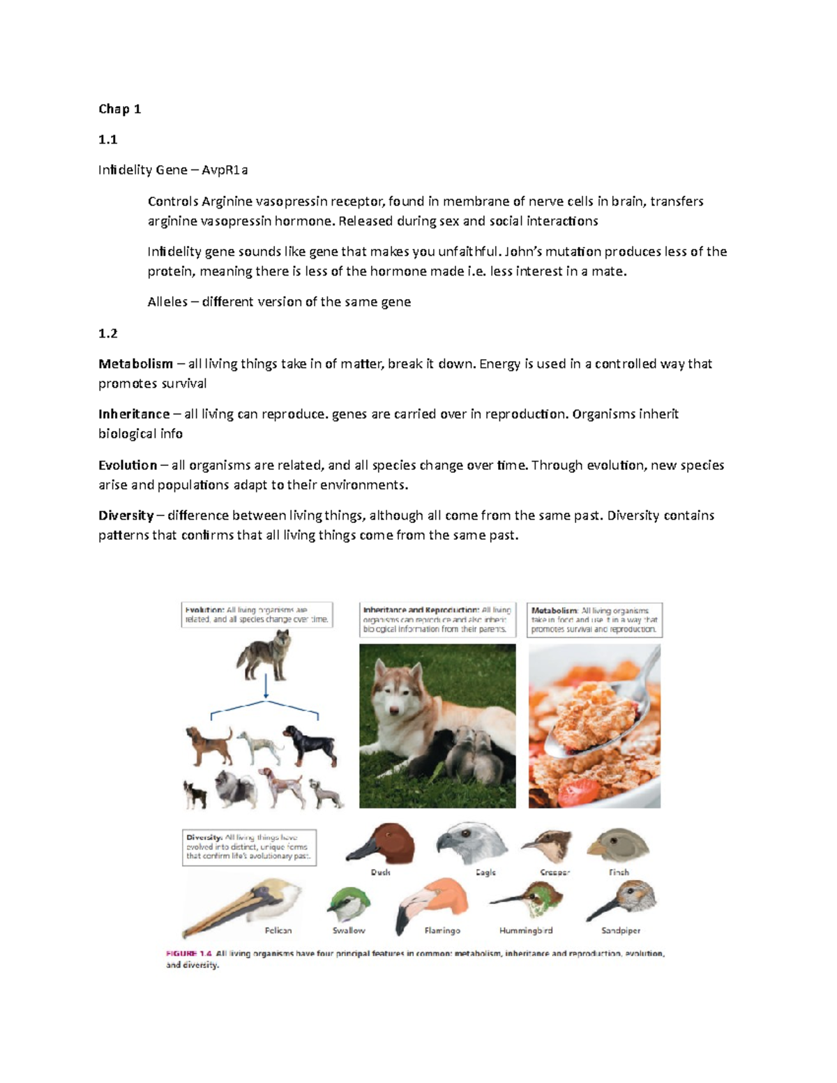 Midterm Notes - Tammy McMullan - Chap 1 1. Infidelity Gene – AvpR1a ...