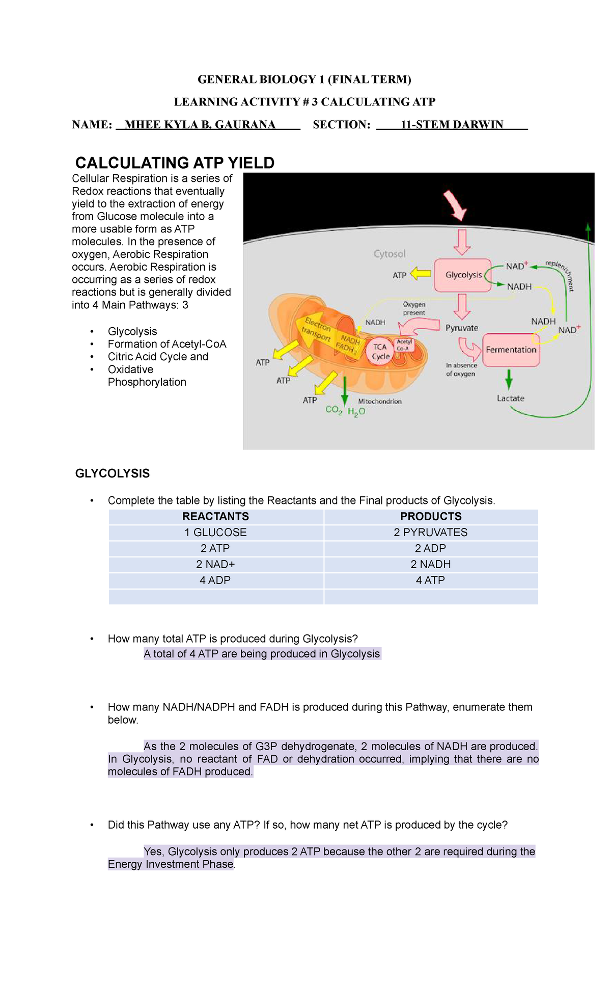 Learning Activity#3 - Gaurana - GENERAL BIOLOGY 1 (FINAL TERM) LEARNING ...