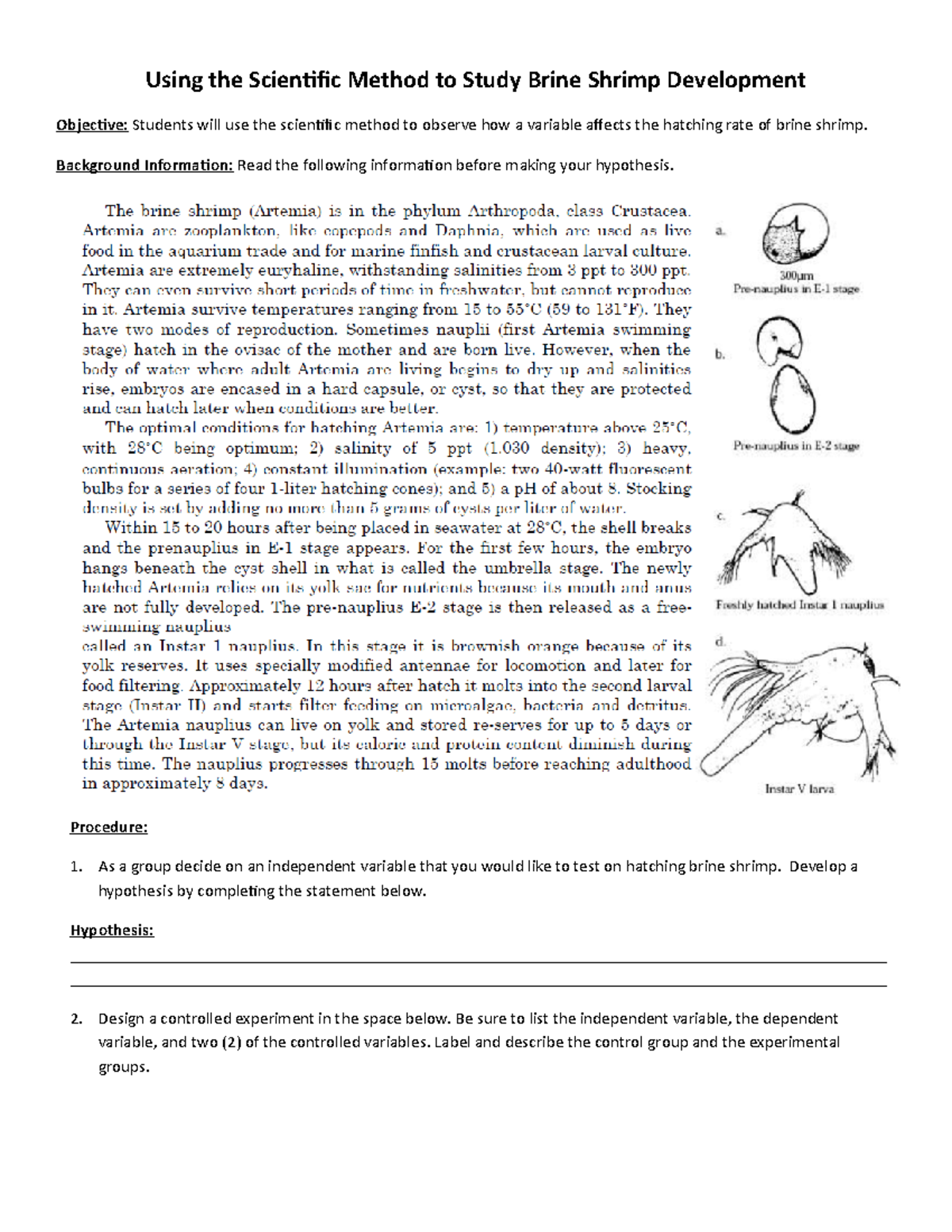 Lab - Brine Shrimp Exp. Des - Using The Scientific Method To Study ...