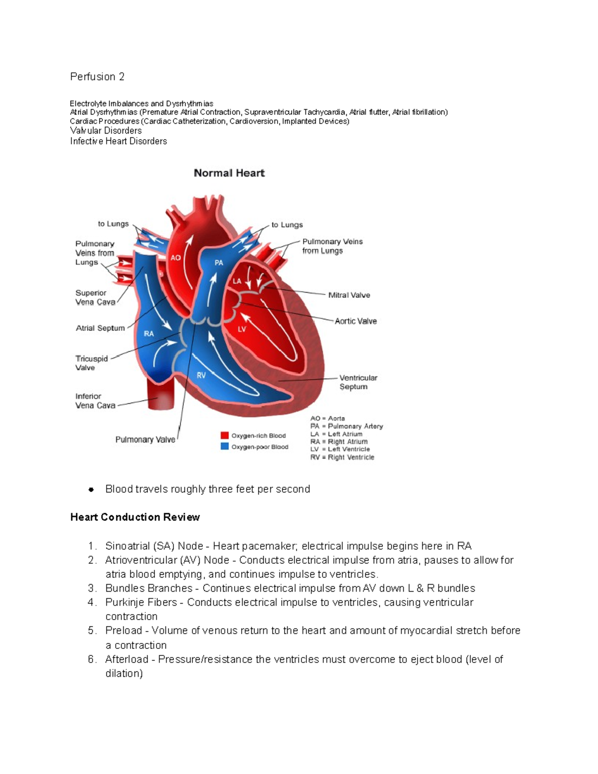 Exam 3 Perfusion W9 - Week 9 PPT Notes - Perfusion 2 Electrolyte ...