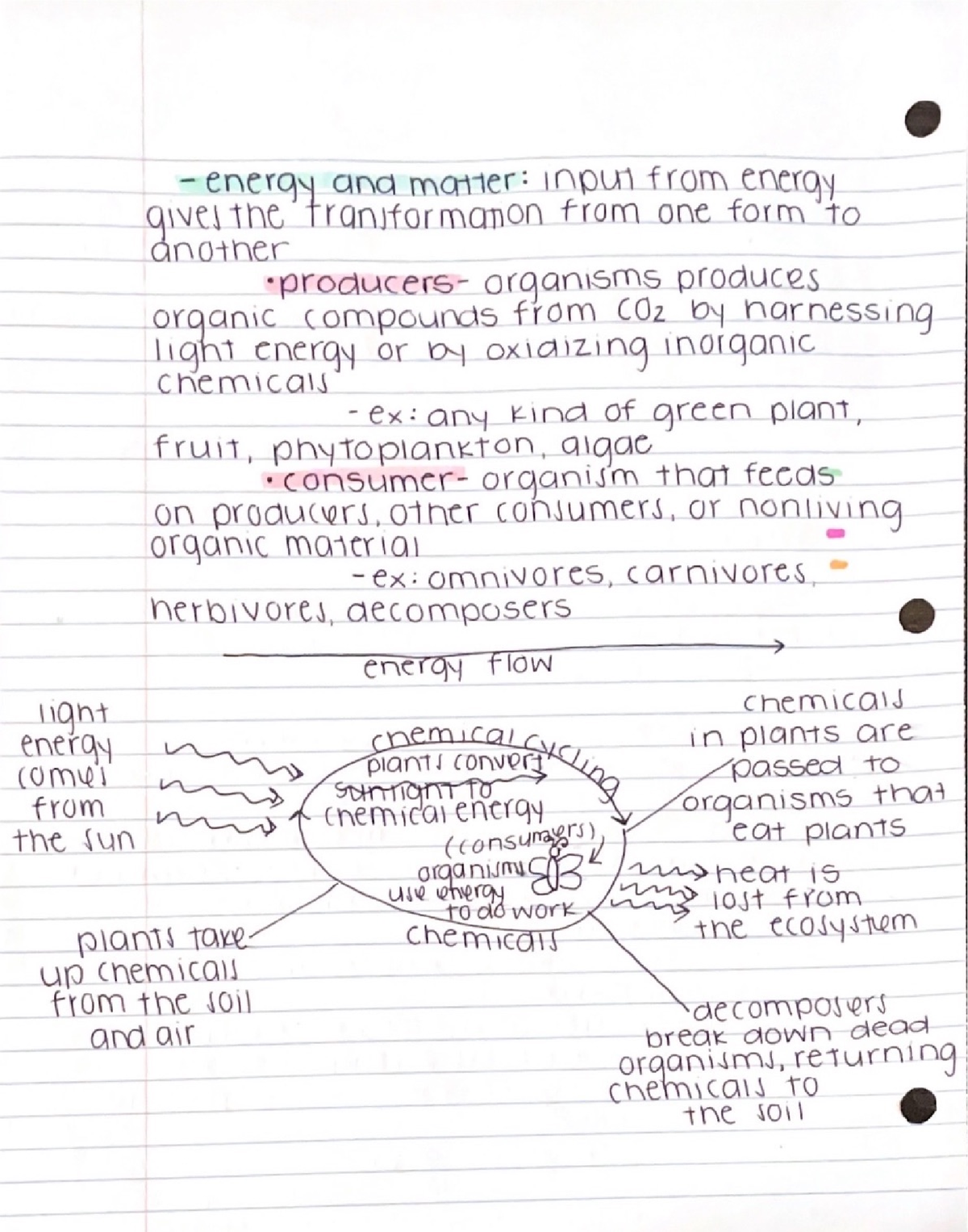 Ch.1- Evolution, Themes of biology, Scientific Inquiry - BSC 2010C ...