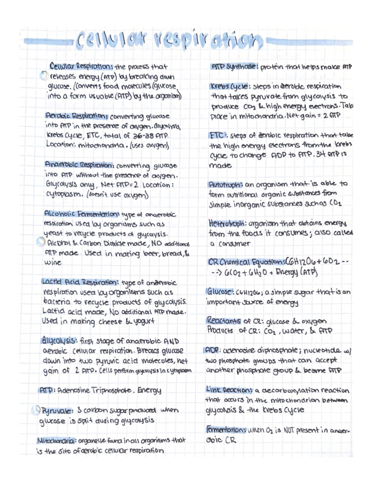 Cellular Respiration - Home notes - Cellvian vespiration Cellular ...