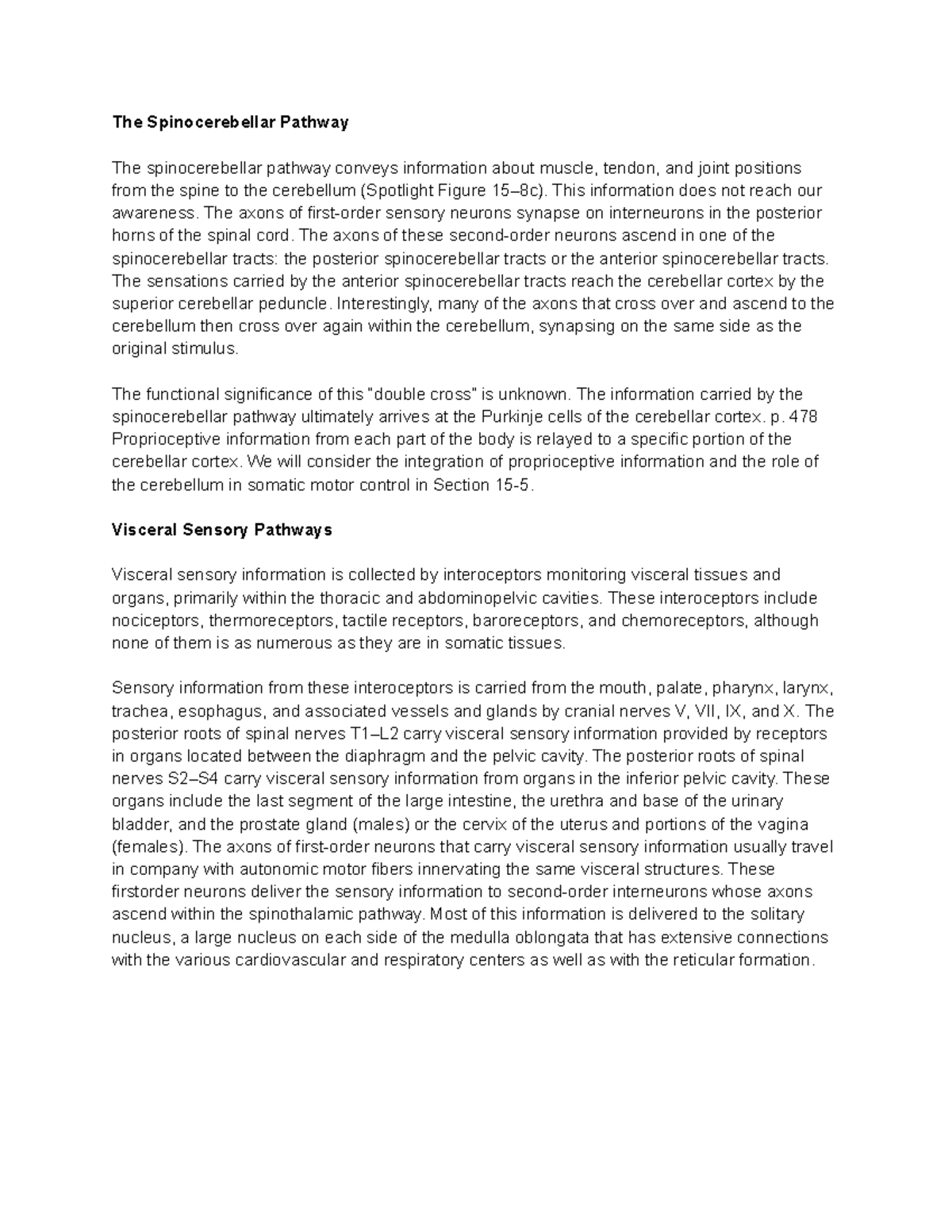 The Spinocerebellar Pathway - This information does not reach our ...