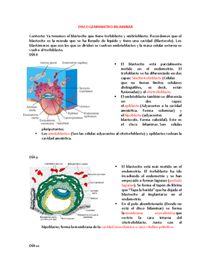 Disco Trilaminar - , Formacion Del Tubo Neural Estableciendo La Axial ...