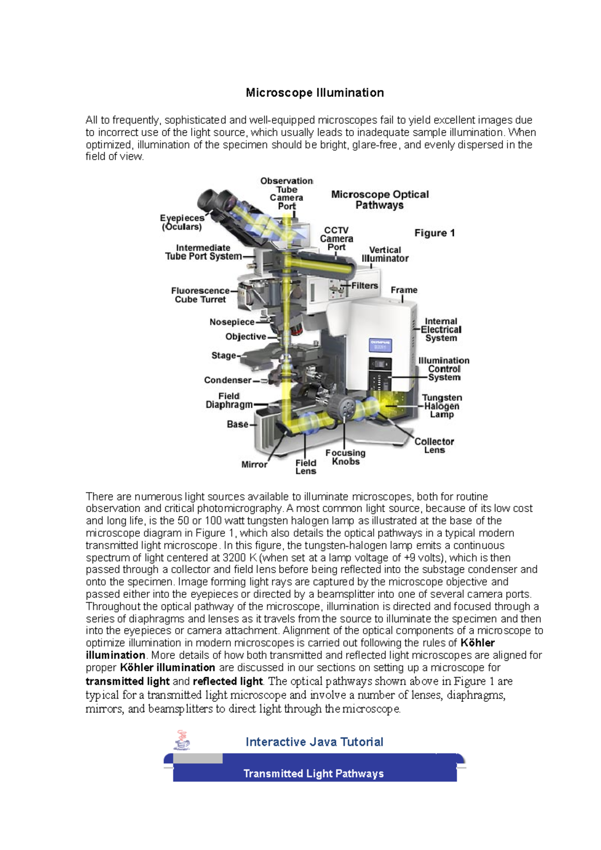 Microscope Illumination When optimized, illumination of the specimen