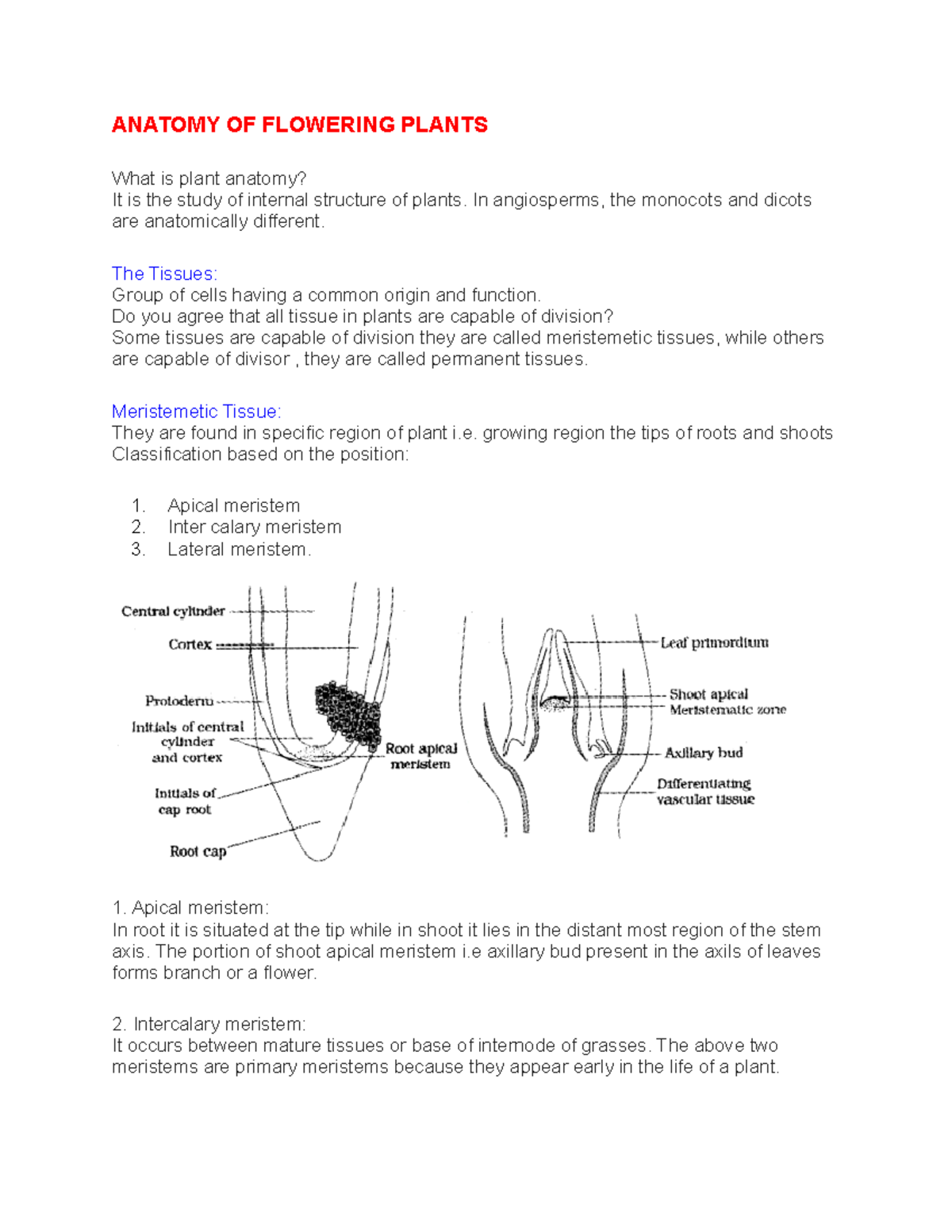 anatomy-of-flowering-plants-plus-one-anatomy-of-flowering-plants-what