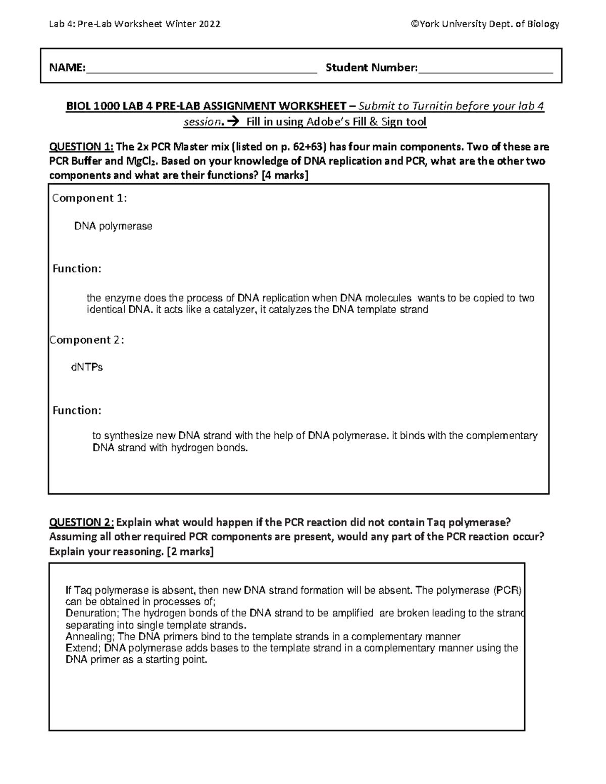 Lab 4 Pre-Lab Worksheet W22 - of Biology NAME ...