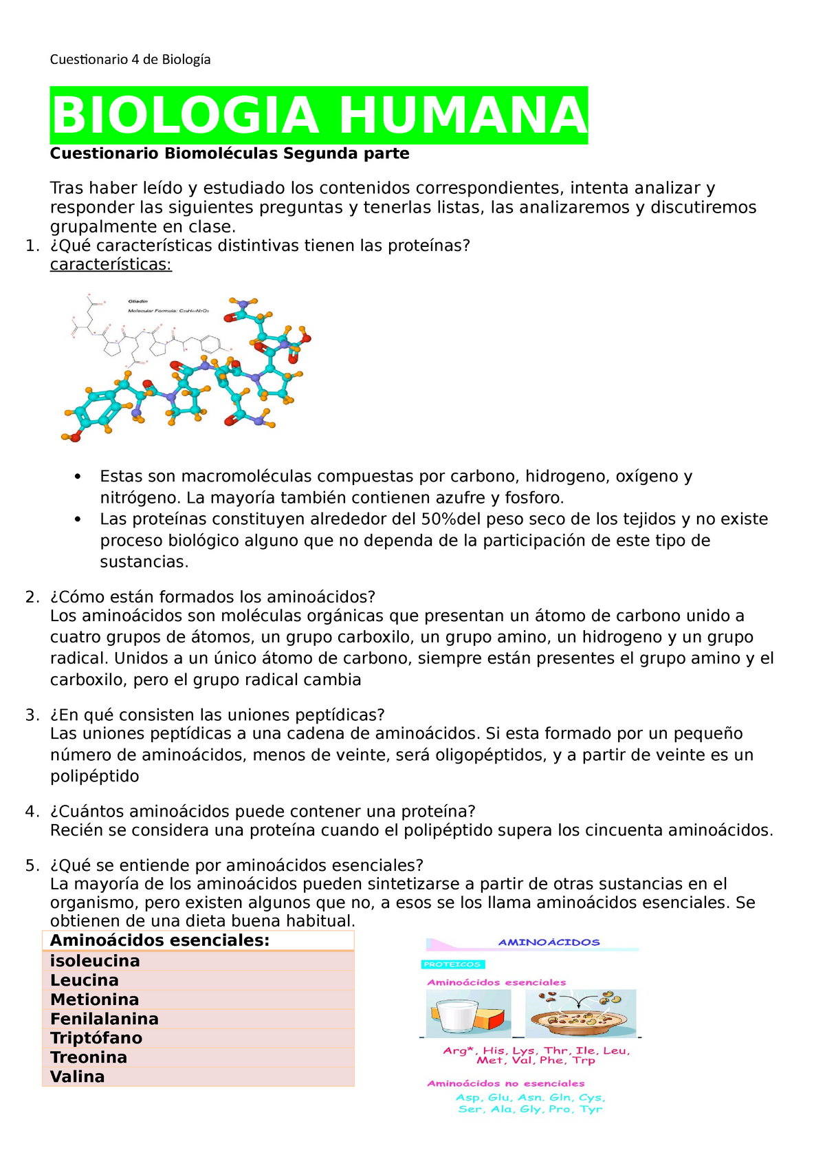 Cuestionario 4 Biomoléculas Segunda Parte Biologia Humana Cuestionario Biomoléculas Segunda 1945