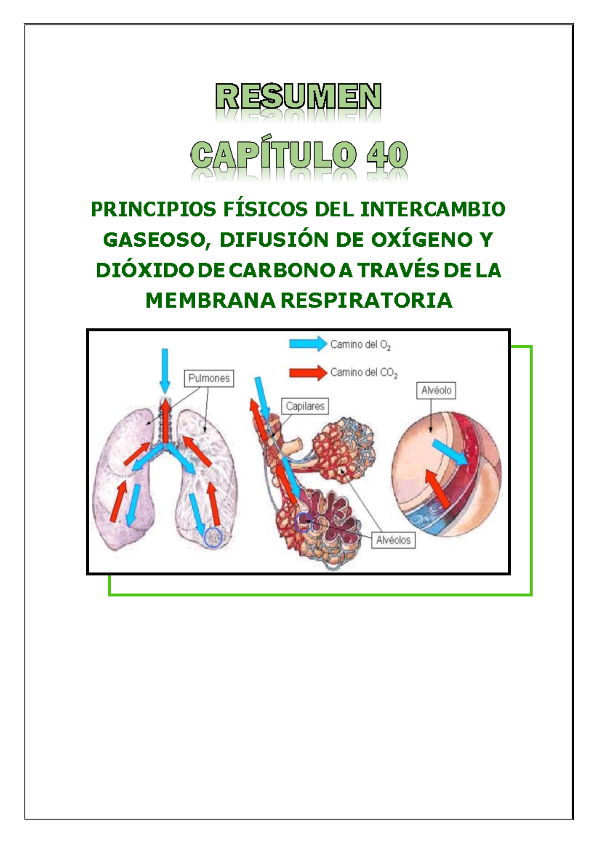 Capítulo 40- Guyton - Resumen - Fisiología II - Universidad Del Valle ...