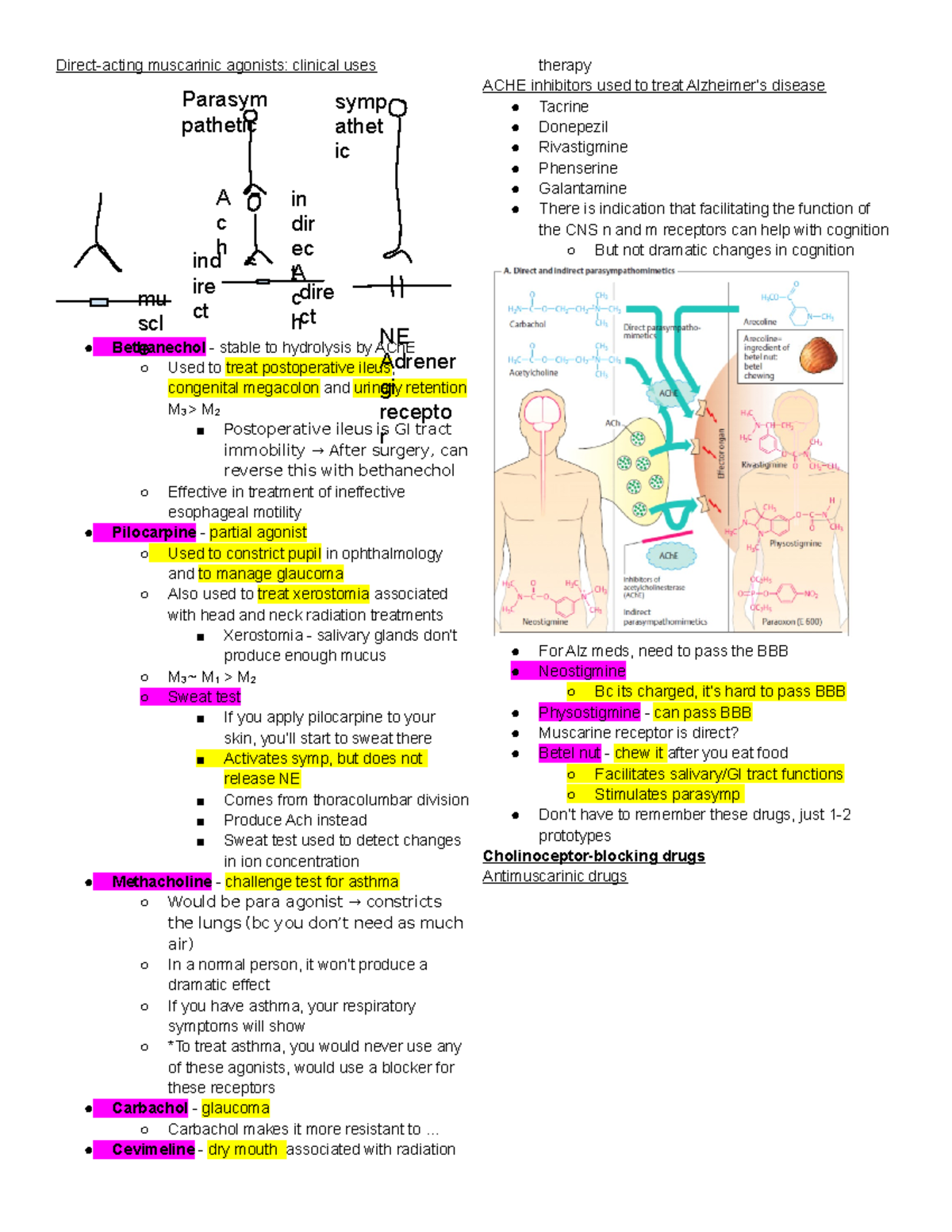 Neuropharm 2 Dr. Dravid Directacting muscarinic agonists clinical uses Bethanechol