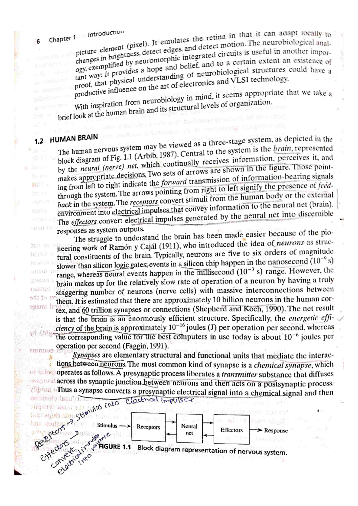 Ann 1 Unit 1 Notes Of Artificial Neural Networks Artificial