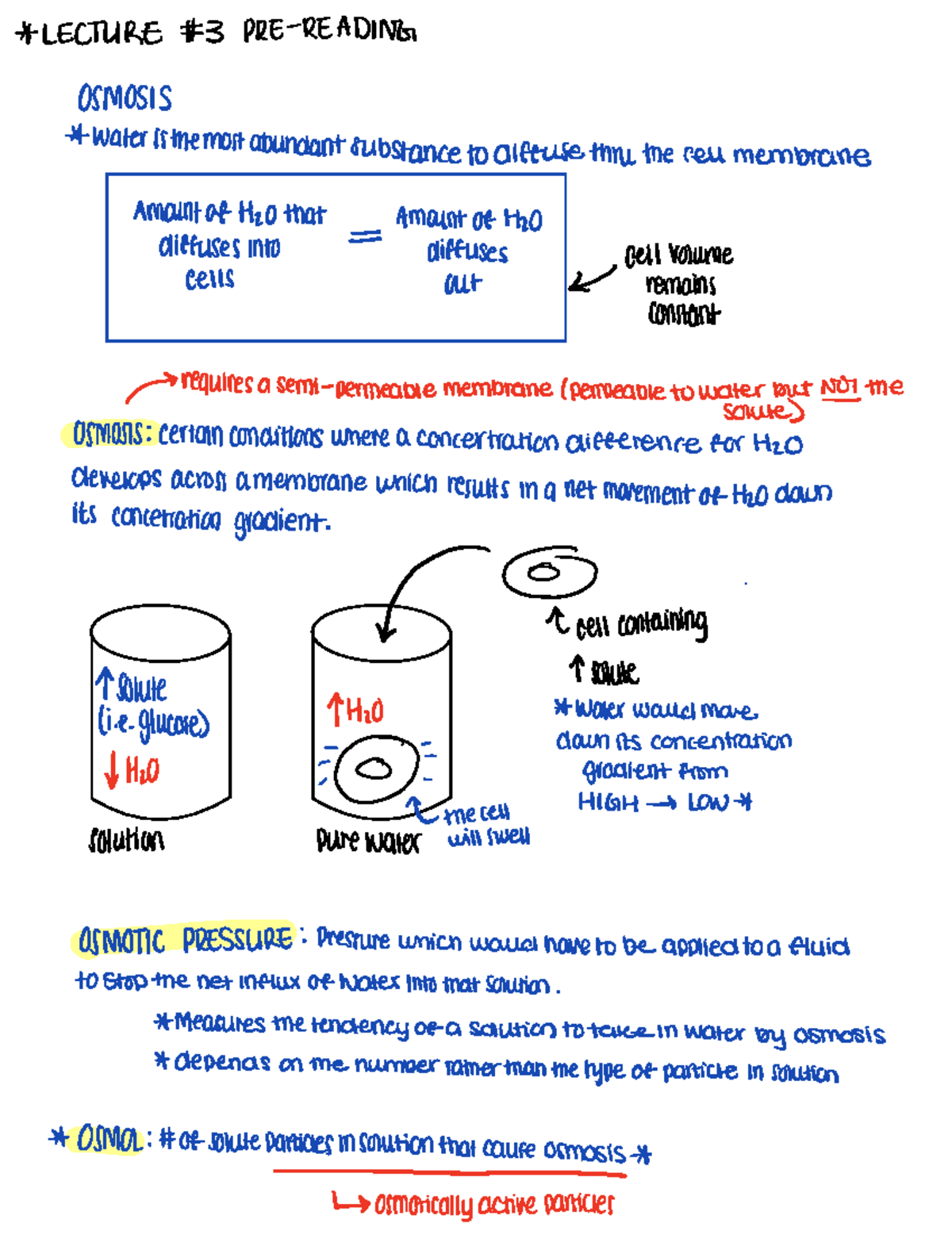 Lec 3 pre-reading - Pre reading notes for Lec 3 (Dr. Woods) - 3120 ...