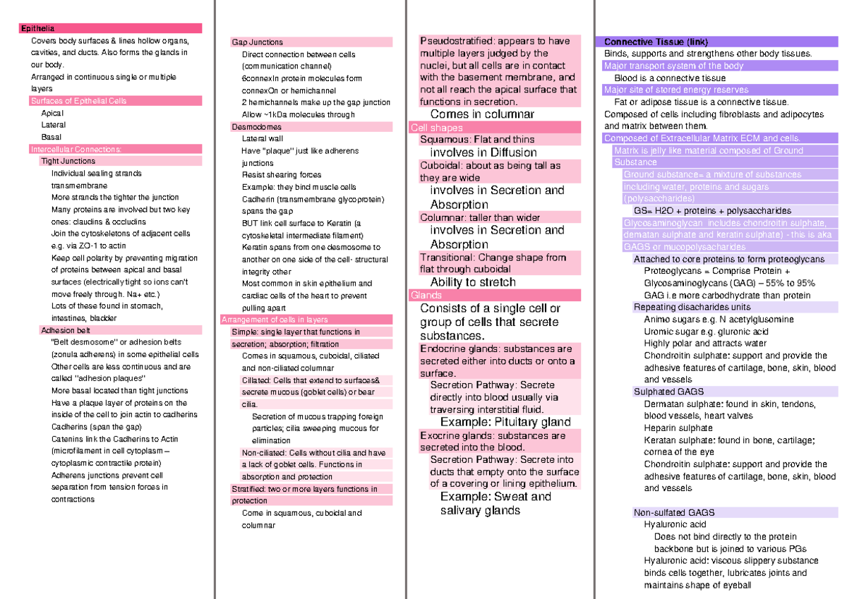 A4 Summary Sheet- Biosci 107 Test - Connective Tissue (link) Binds 