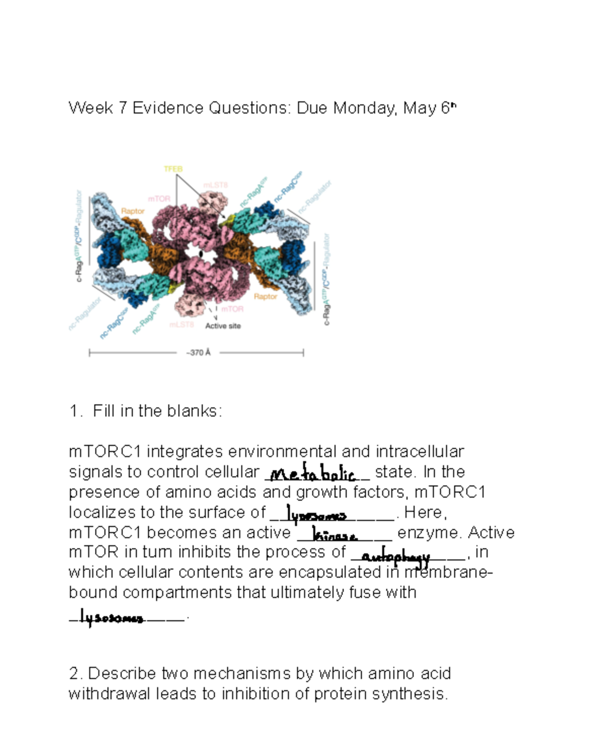 Week+7+EQ+2024 - Set 7 - Week 7 Evidence Questions: Due Monday, May 6 ...