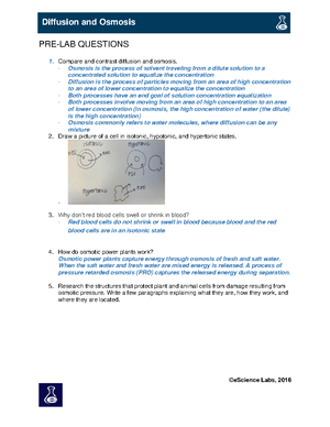 Lab 1 Intro To Science- EScience Lab - EXERCISE 1: DATA INTERPRETATION ...