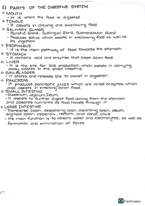 [C16] Digestive System - THE DIGESTIVE SYSTEM 1 Chapter 16 — 11 / 2023 ...