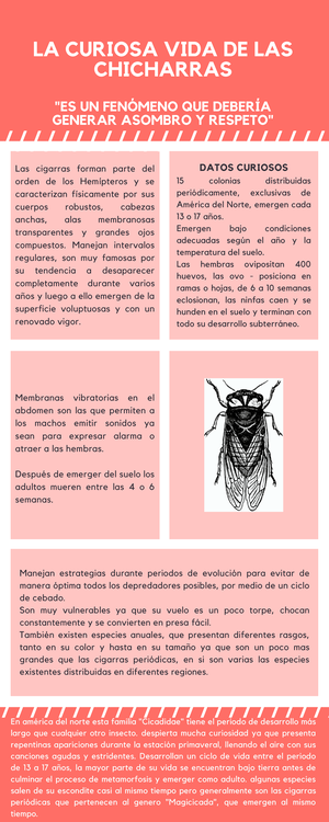 Crecimiento Y Desarrollo DE LOS Insectos ( Desarrollo Embrionario Y ...