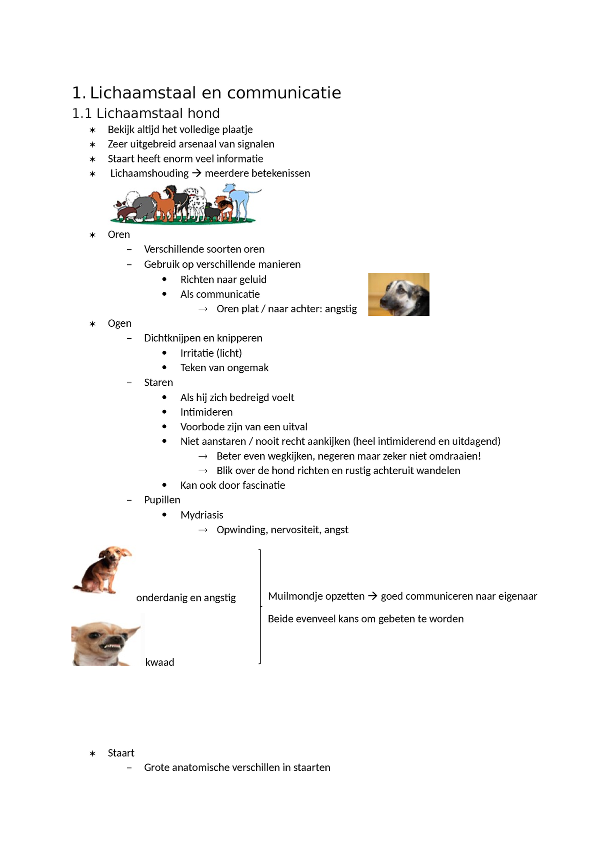 Gedrag Van Hond En Kat 1 Lichaamstaal En Communicatie 1 Lichaamstaal