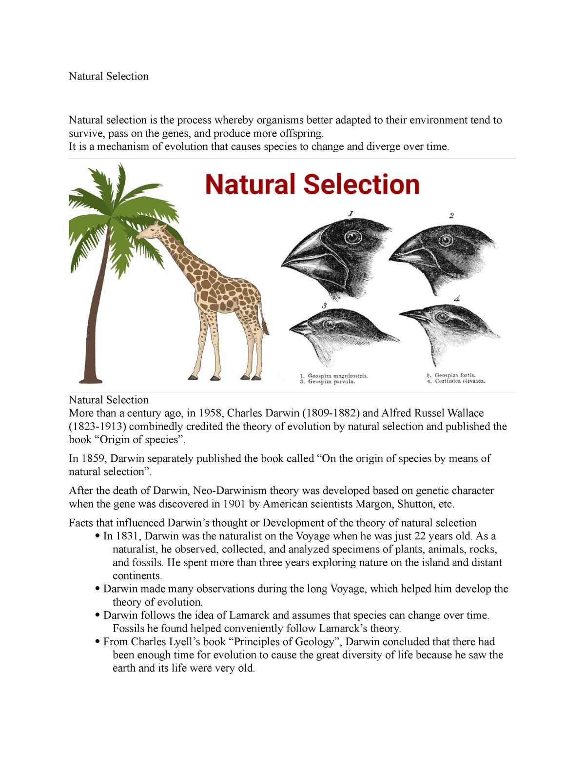 write an essay on the theory of natural selection