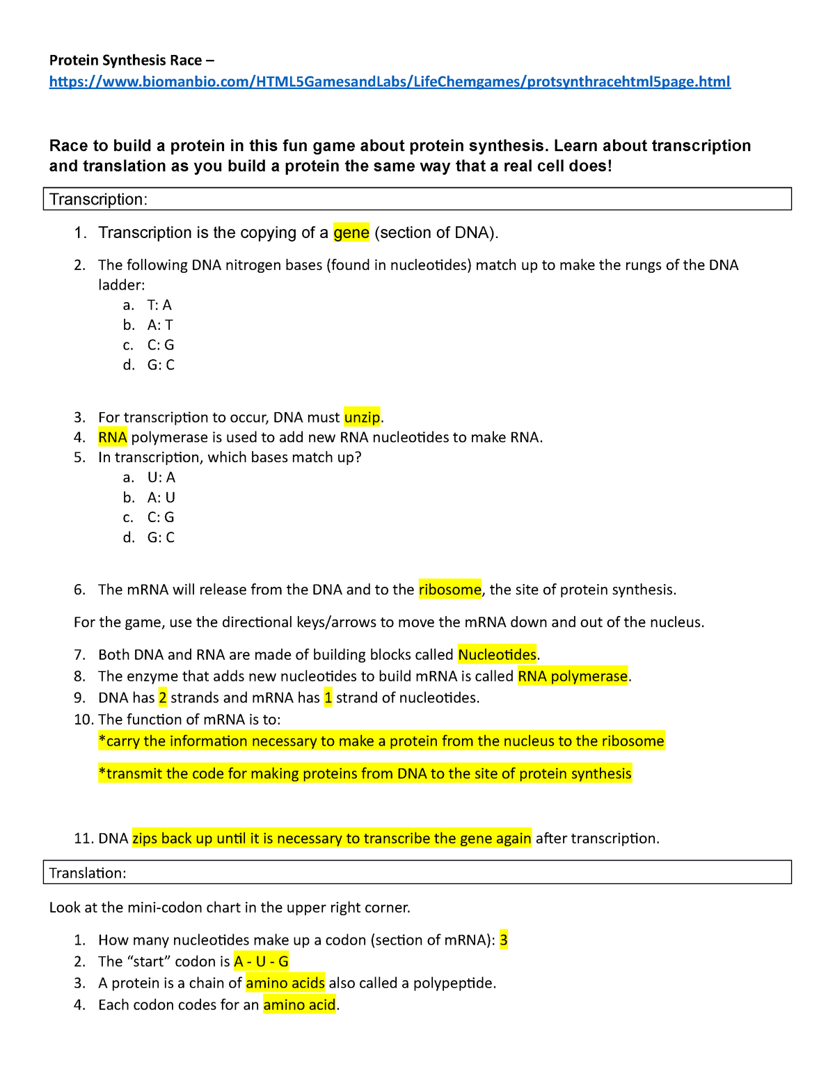 Protein Synthesis Race worksheet Stensgaard - Protein Synthesis Within Protein Synthesis Worksheet Answer Key
